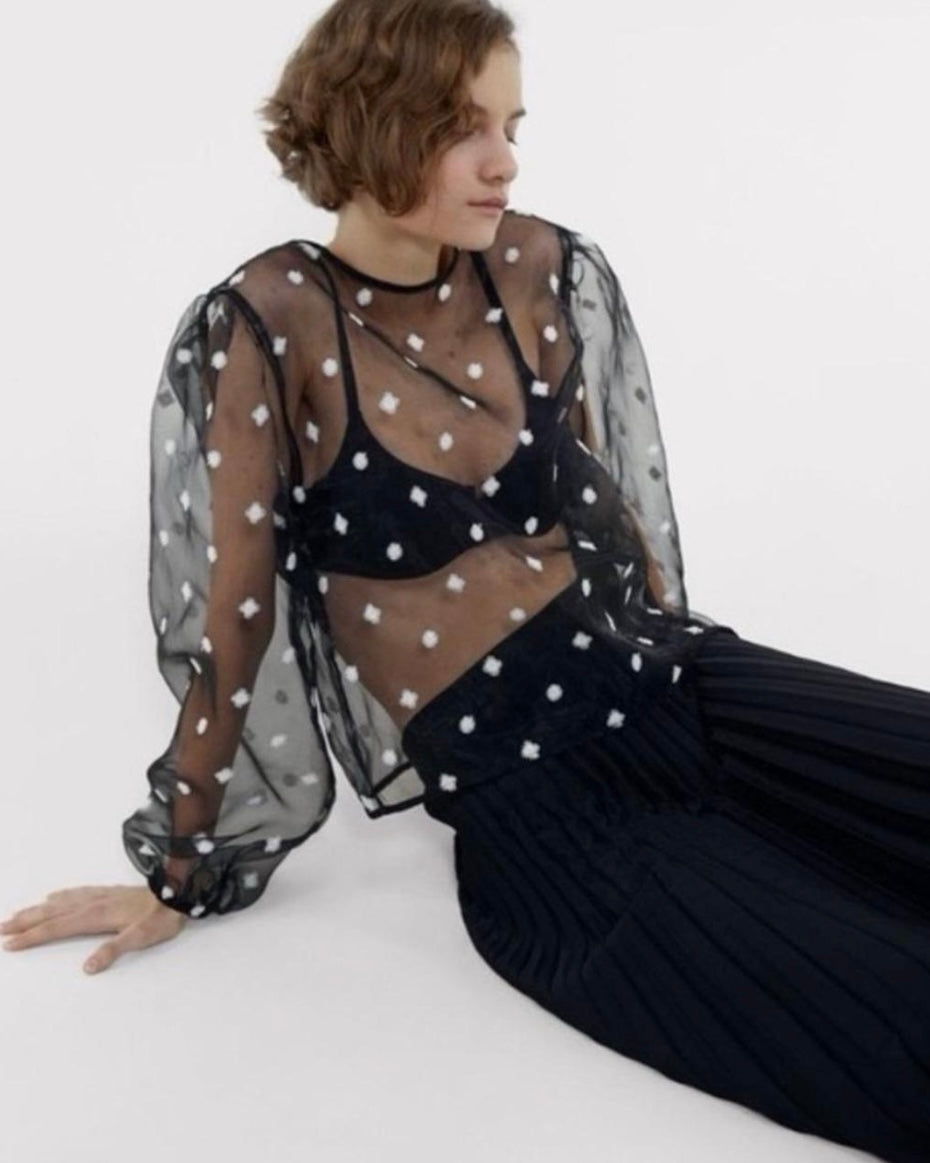 ZARA EMBROIDERED ORGANZA SHEER TOP