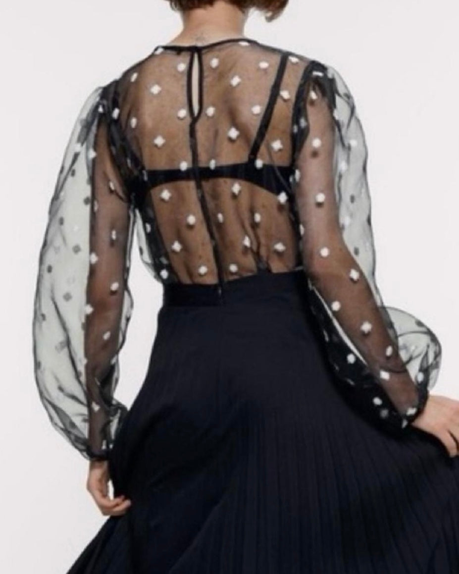 ZARA EMBROIDERED ORGANZA SHEER TOP